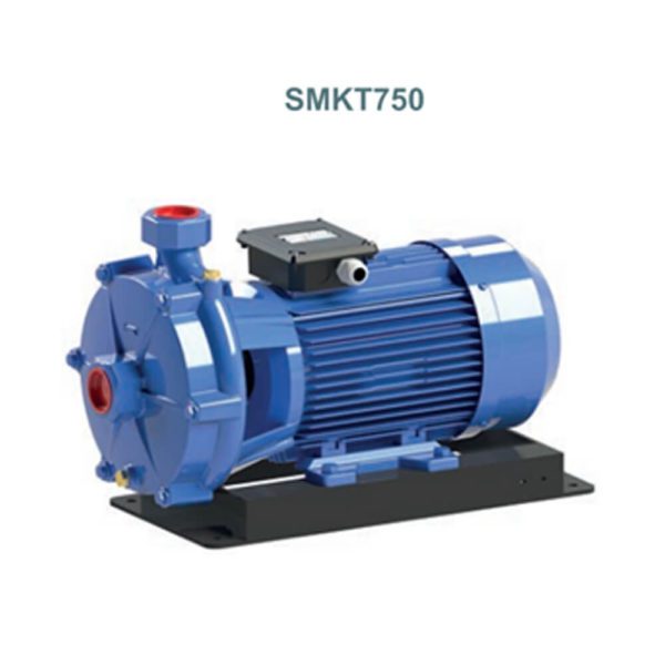 Насос двухступенчатый центробежный SMK220 - SMKT220, SMKT550-SMKT750