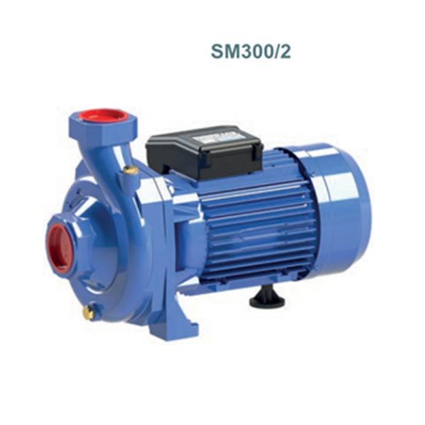 Одноступенчатый центробежный насос SM150/2, SM160/2, SM220/2, SM300/2 фото