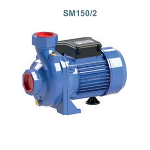 Одноступенчатый центробежный насос SM150/2, SM160/2, SM220/2, SM300/2 картинка